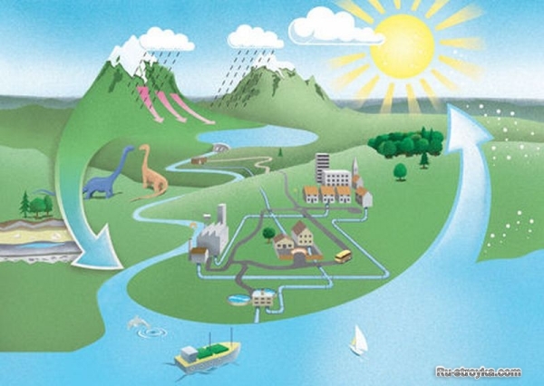 КРУГОВОРОТ ВОДЫ В ПРИРОДЕ КРУГОВОРОТ ВОДЫ В ПРИРОДЕ