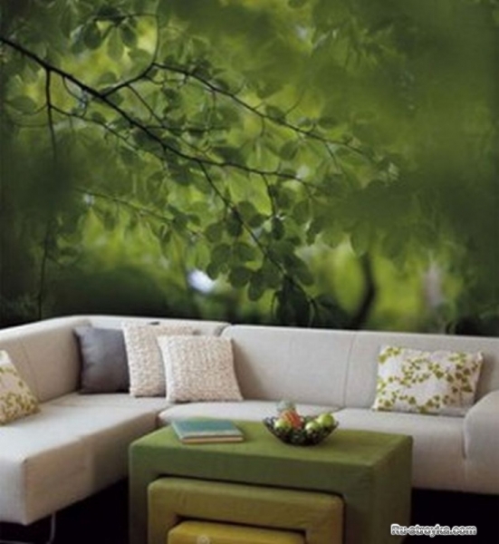 Фотообои на стену Фотообои на стену