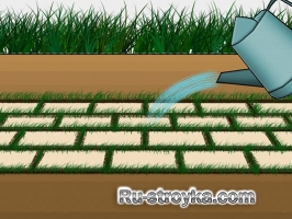 Брусчатка с травой Брусчатка с травой