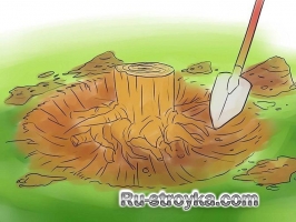 Как срубить дерево. Как срубить дерево.