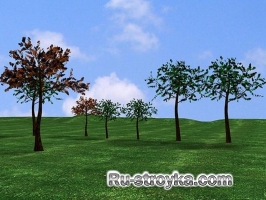 Забор из частокола Забор из частокола