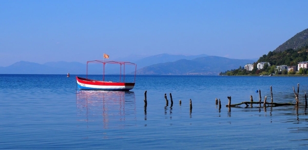 Netflix’s summer 2022 movie slate is full of star power with a lot of potentials & plot Netflix’s summer 2022 movie slate is full of star power with a lot of potentials & plot