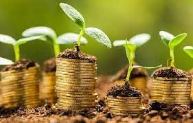 Способы инвестирования в земельные участки Способы инвестирования в земельные участки