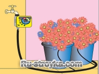 Полив растений во время отпуска Полив растений во время отпуска