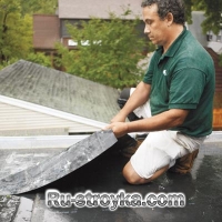 Зеленая крыша Зеленая крыша