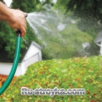 Зеленая крыша Зеленая крыша