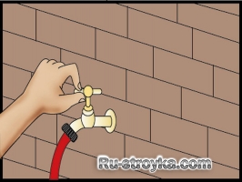 Полив растений во время отпуска Полив растений во время отпуска