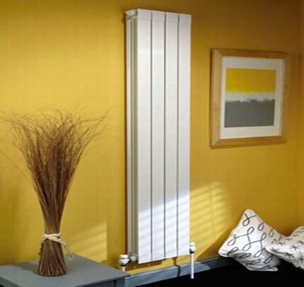 Вертикальные радиаторы отопления: виды + преимущества и недостатки + обзор марок Вертикальные радиаторы отопления: виды + преимущества и недостатки + обзор марок