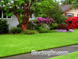 Газон - устройство и обслуживание его. Газон - устройство и обслуживание его.