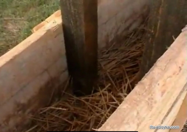 Дом из соломы Дом из соломы