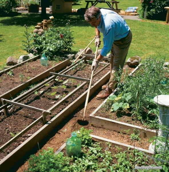 Делаем садовый участок красивым и чистым. Делаем садовый участок красивым и чистым.