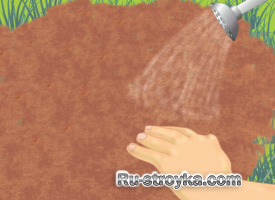 Восстановление больного газона. Восстановление больного газона.