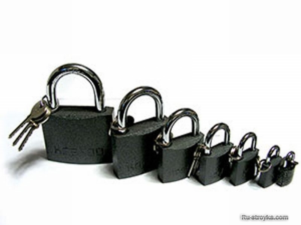 Защита замков в железных дверях. Защита замков в железных дверях.