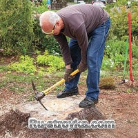 Цветник из пенька.