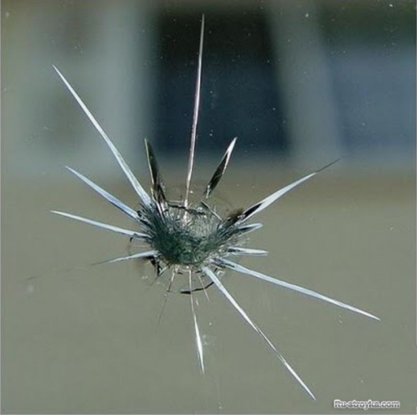 Разновидность стекла Разновидность стекла