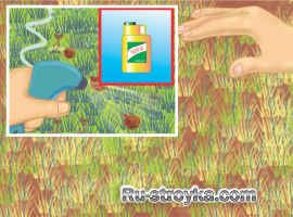 Восстановление больного газона. Восстановление больного газона.