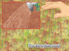 Восстановление больного газона. Восстановление больного газона.