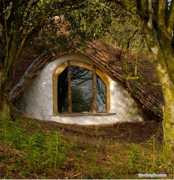 Строим Эко-дом без денег. Строим Эко-дом без денег.