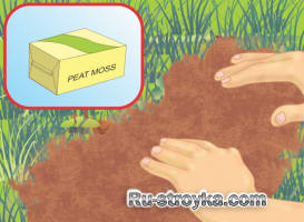 Восстановление больного газона. Восстановление больного газона.