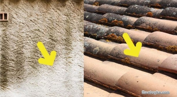 Удаление водорослей с крыши. Удаление водорослей с крыши.