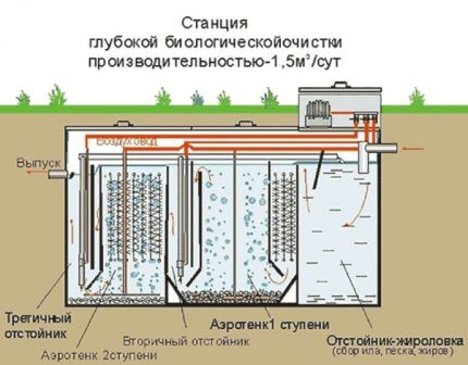 Анаэробные и аэробные бактерии для септиков: разбираемся в правилах переработки стоков Анаэробные и аэробные бактерии для септиков: разбираемся в правилах переработки стоков