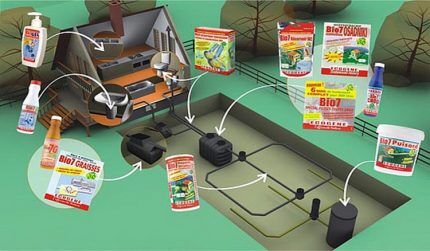 Анаэробные и аэробные бактерии для септиков: разбираемся в правилах переработки стоков Анаэробные и аэробные бактерии для септиков: разбираемся в правилах переработки стоков