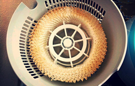 Какую воду заливать в увлажнитель воздуха: обычную или дистиллированную? Правила эксплуатации прибора Какую воду заливать в увлажнитель воздуха: обычную или дистиллированную? Правила эксплуатации прибора