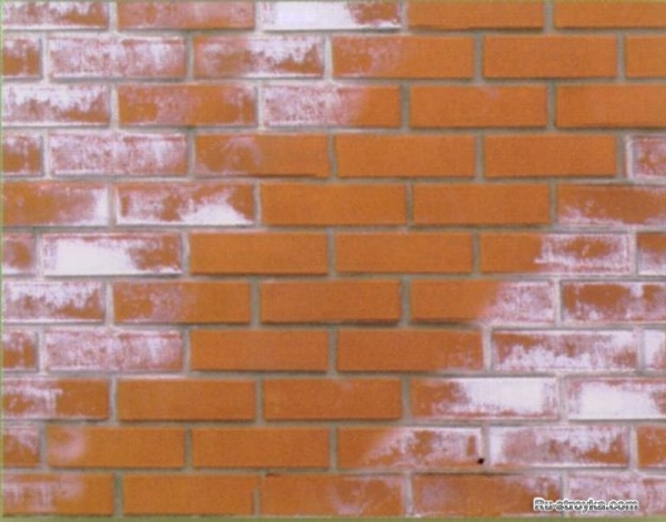 Как легко выбрать качественный кирпич и избежать высолов? Как легко выбрать качественный кирпич и избежать высолов?