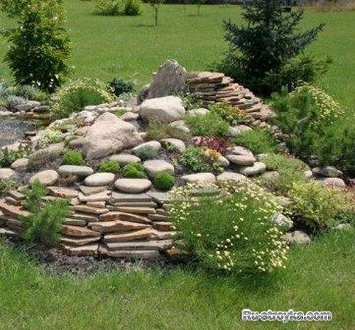 Каменистые сады Каменистые сады