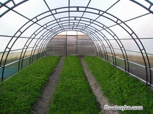 Выбираем теплицу. Выбираем теплицу.