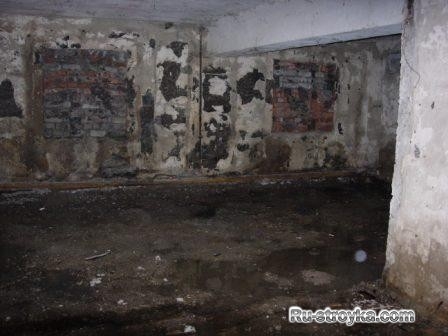 Грибковые оброзования в доме Грибковые оброзования в доме