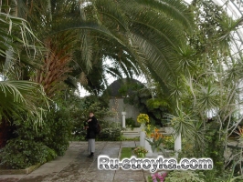 Своими руками оранжерея. Своими руками оранжерея.