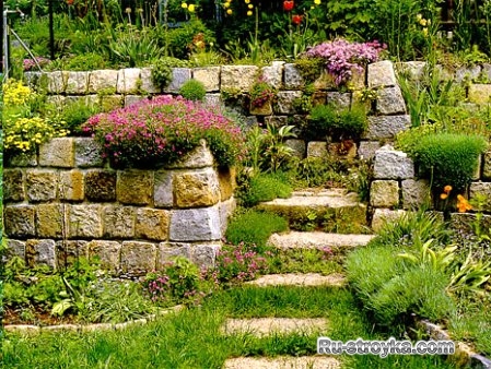 Каменистые сады Каменистые сады