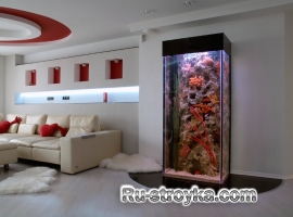 Аквариум в вашем доме Аквариум в вашем доме