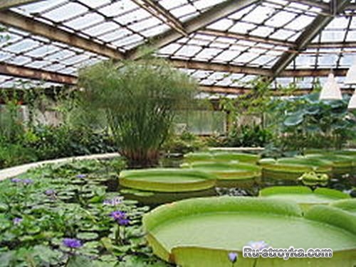 Своими руками оранжерея. Своими руками оранжерея.