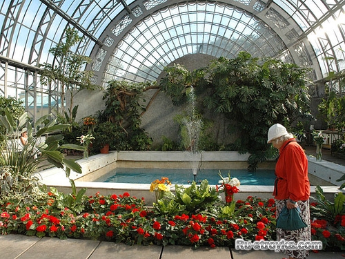 Своими руками оранжерея. Своими руками оранжерея.