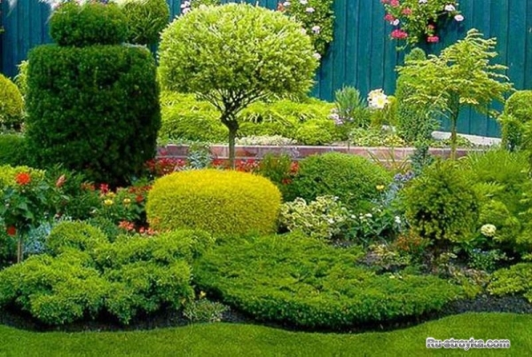 СОВЕТЫ ПО ЛАНДШАФТНОМУ ДИЗАЙНУ СОВЕТЫ ПО ЛАНДШАФТНОМУ ДИЗАЙНУ