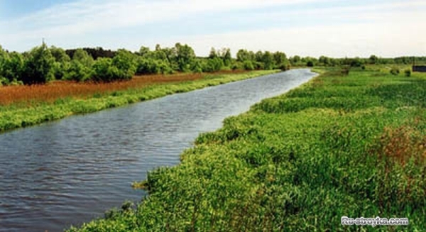 Мелиорация земель