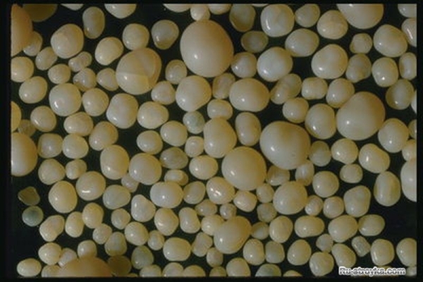 Галька – округлые камни Галька – округлые камни