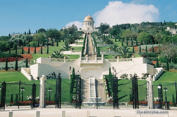 Висячие сады. Висячие сады.