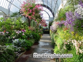 Оформление зимнего сада Оформление зимнего сада