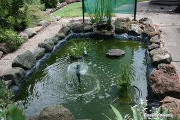 Советы по организации зимнего сада Советы по организации зимнего сада