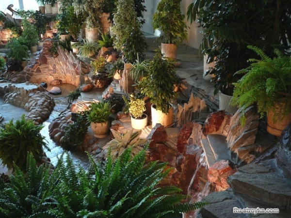 Оформление зимнего сада Оформление зимнего сада