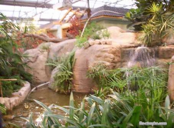 Советы по организации зимнего сада Советы по организации зимнего сада