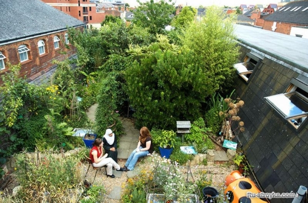 Сады на крышах Сады на крышах