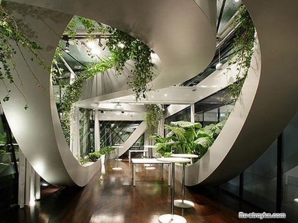 Зимний сад на балконе Зимний сад на балконе