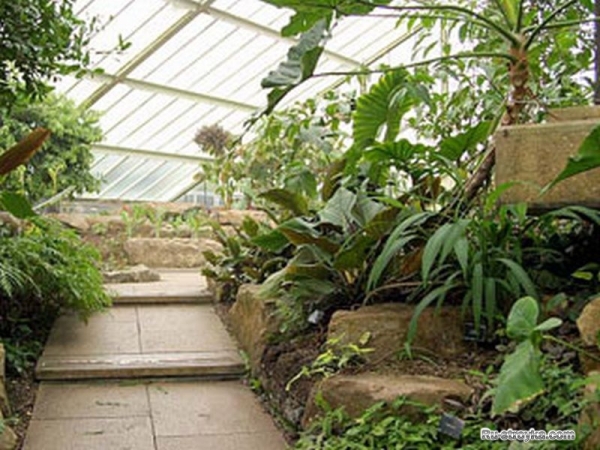 Оформление зимнего сада Оформление зимнего сада