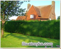 Свободнорастущие живые изгороди Свободнорастущие живые изгороди