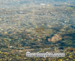 Сточные воды Сточные воды