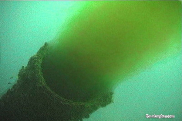 Сточные воды Сточные воды